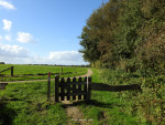 Gravenbosch